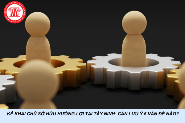 Kê khai chủ sở hữu hưởng lợi tại Tây Ninh: Cần lưu ý 5 vấn đề nào?