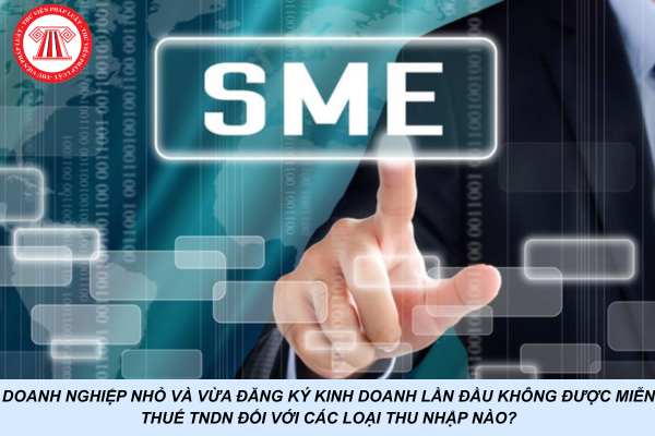 Doanh nghiệp nhỏ và vừa đăng ký kinh doanh lần đầu không được miễn thuế TNDN đối với các loại thu nhập nào?