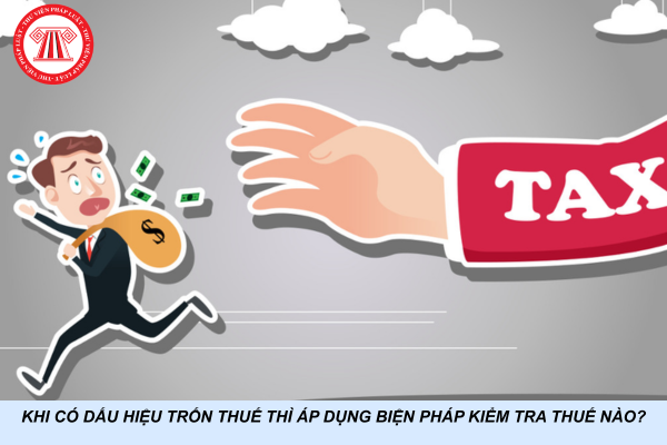 Khi có dấu hiệu trốn thuế thì áp dụng biện pháp kiểm tra thuế nào?