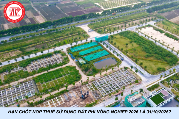 Hạn chót nộp thuế sử dụng đất phi nông nghiệp 2026 là 31/10/2026?