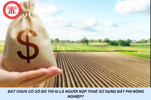 Đất chưa có sổ đỏ thì ai là người nộp thuế sử dụng đất phi nông nghiệp?