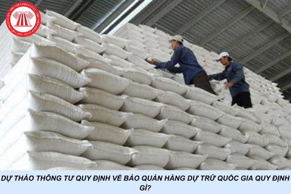Dự thảo Thông tư quy định về bảo quản hàng dự trữ quốc gia quy định gì?
