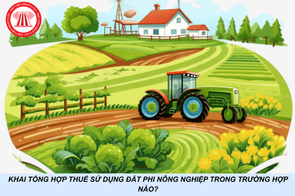Khai tổng hợp thuế sử dụng đất phi nông nghiệp trong trường hợp nào?