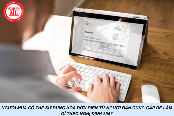 Người mua có thể sử dụng hóa đơn điện tử người bán cung cấp để làm gì theo Nghị định 254?