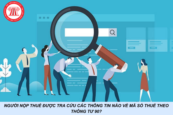 Người nộp thuế được tra cứu các thông tin nào về mã số thuế theo Thông tư 90?