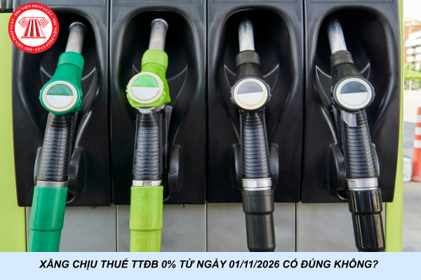Xăng chịu thuế TTĐB 0% từ ngày 01/11/2026 có đúng không?