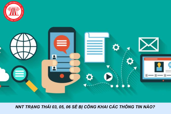NNT trạng thái 03, 05, 06 sẽ bị công khai các thông tin nào?