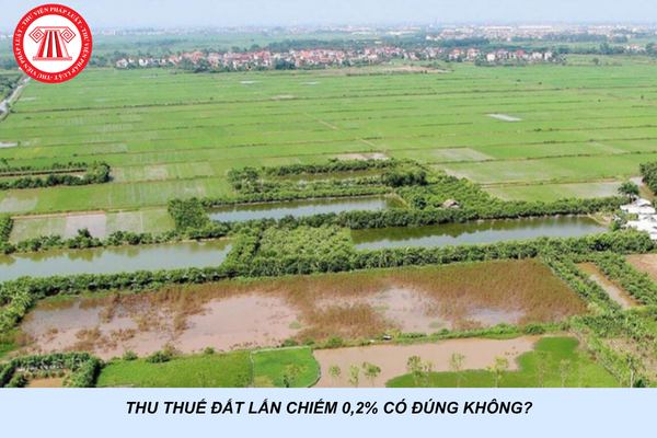Thu thuế đất lấn chiếm 0,2% có đúng không?