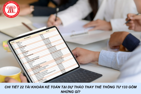 Chi tiết 22 tài khoản kế toán tại Dự thảo thay thế Thông tư 133 gồm những gì?