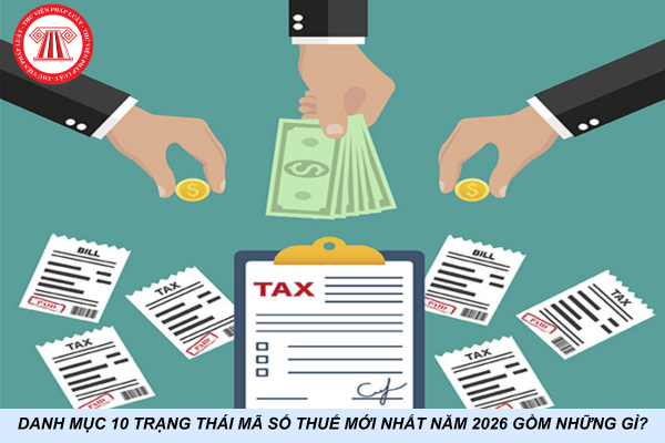 Danh mục 10 trạng thái mã số thuế mới nhất năm 2026 gồm những gì?