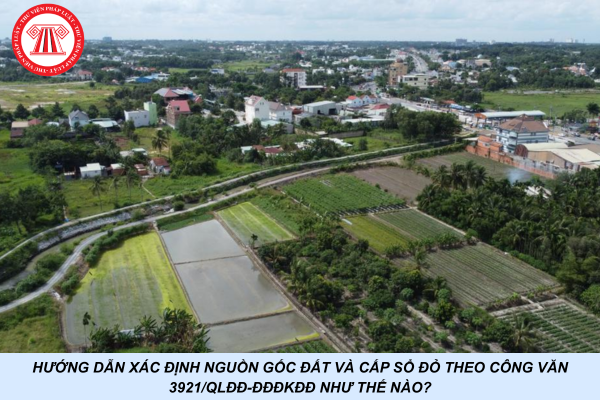 Hướng dẫn xác định nguồn gốc đất và cấp sổ đỏ theo Công văn 3921/QLĐĐ-ĐĐĐKĐĐ như thế nào?