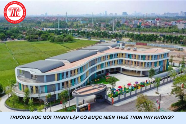 Trường học mới thành lập có được miễn thuế TNDN hay không?
