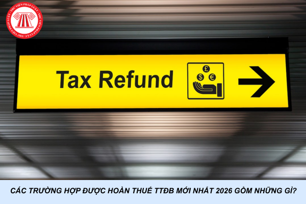 Các trường hợp được hoàn thuế TTĐB mới nhất 2026 gồm những gì?