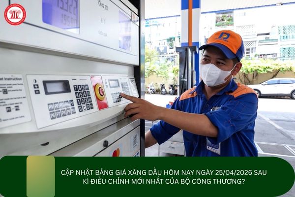 Pháp luật
