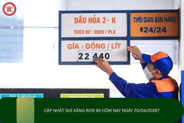 Pháp luật