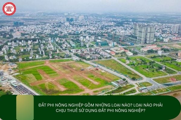 Đất phi nông nghiệp gồm những loại nào? Loại nào phải chịu thuế sử dụng đất phi nông nghiệp?
