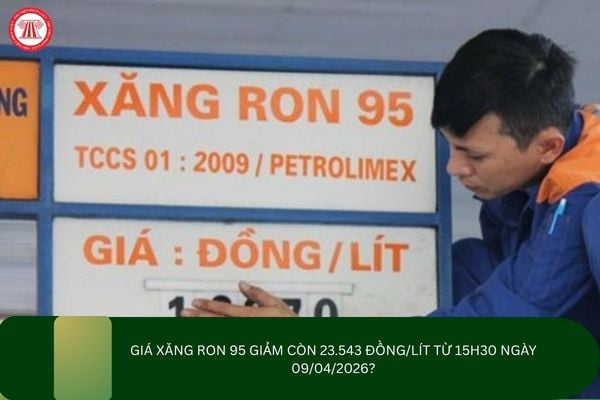 Pháp luật