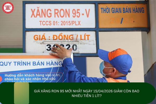 Pháp luật