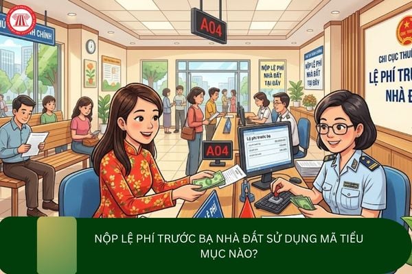 Pháp luật