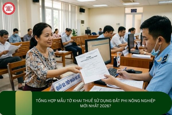 Tổng hợp mẫu tờ khai thuế sử dụng đất phi nông nghiệp mới nhất 2026?