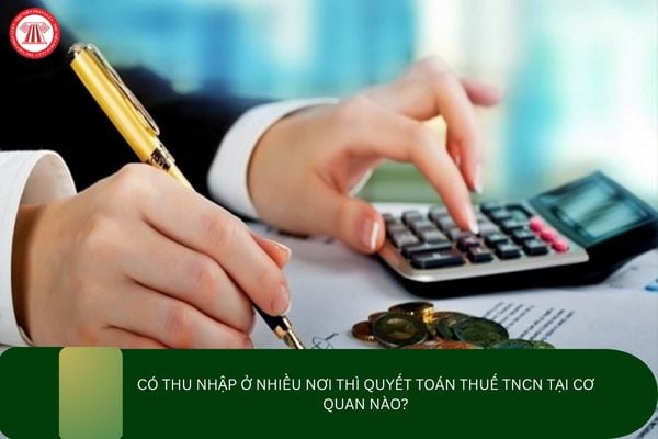 Pháp luật