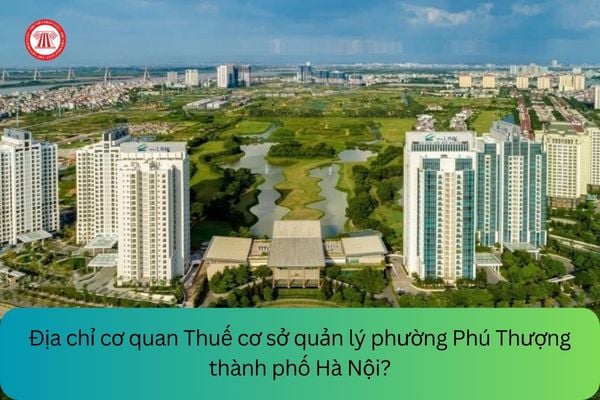 Pháp luật