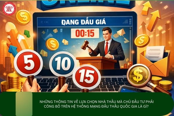 Pháp luật