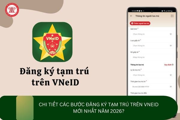 Pháp luật