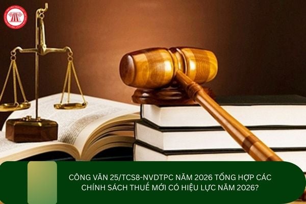 Công văn 25/TCS8-NVDTPC năm 2026 tổng hợp các chính sách thuế mới có hiệu lực năm 2026?