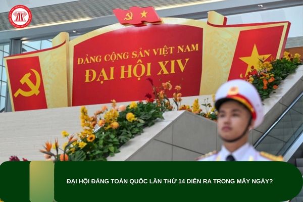 Pháp luật