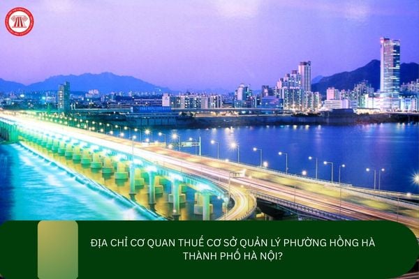 Pháp luật