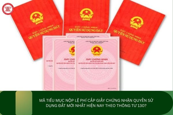 Pháp luật