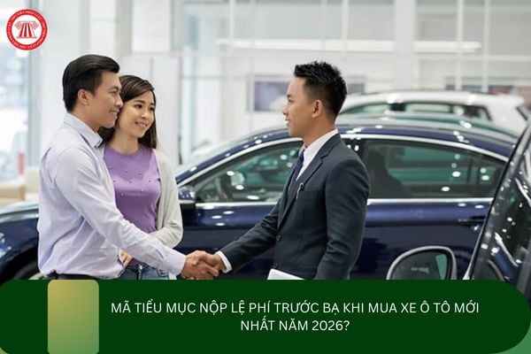 Pháp luật