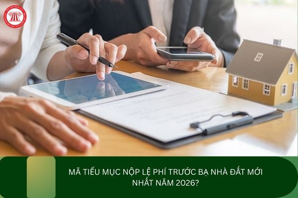 Pháp luật