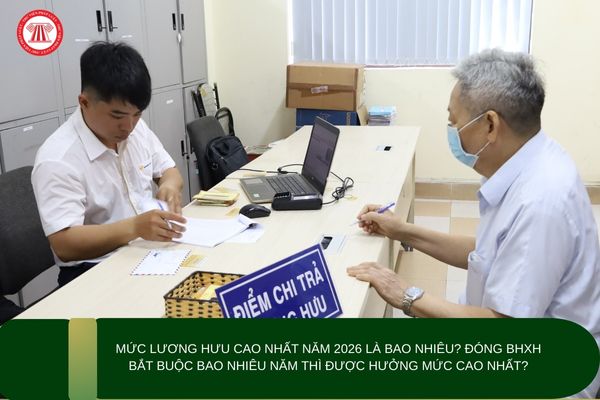 Pháp luật