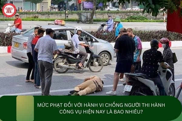 Pháp luật