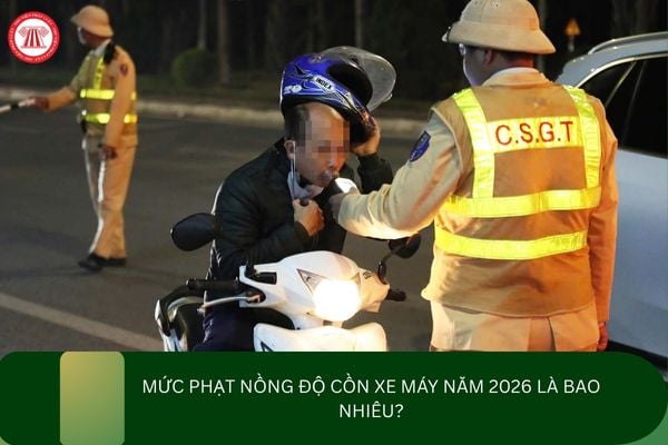 Pháp luật