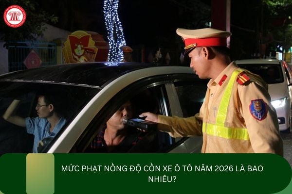 Pháp luật