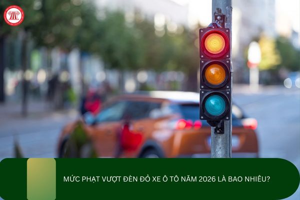 Pháp luật