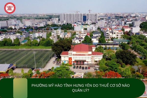 Pháp luật