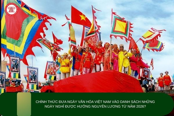 Pháp luật
