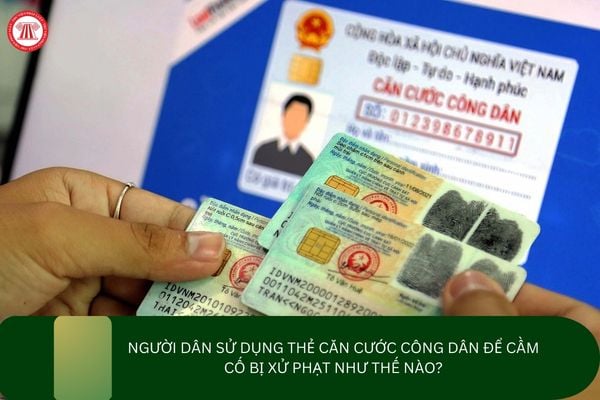 Pháp luật
