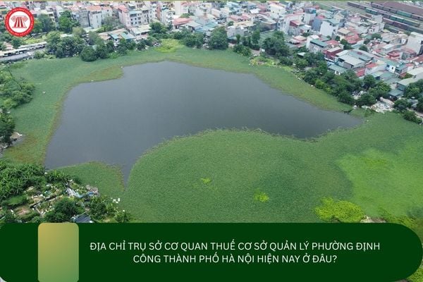 Pháp luật