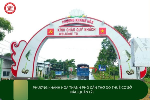 Pháp luật
