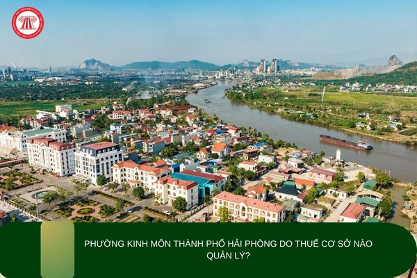 Pháp luật