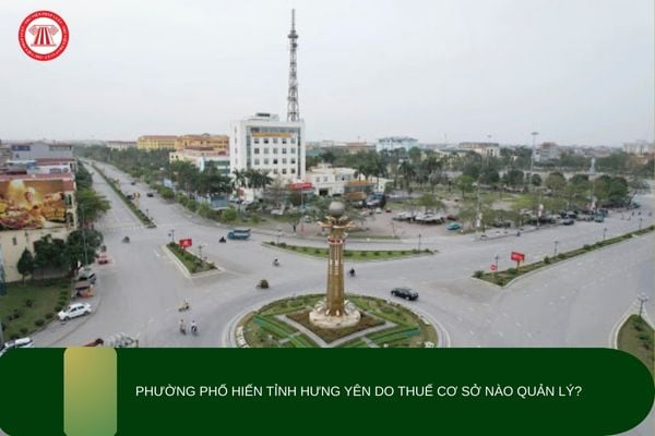 Pháp luật