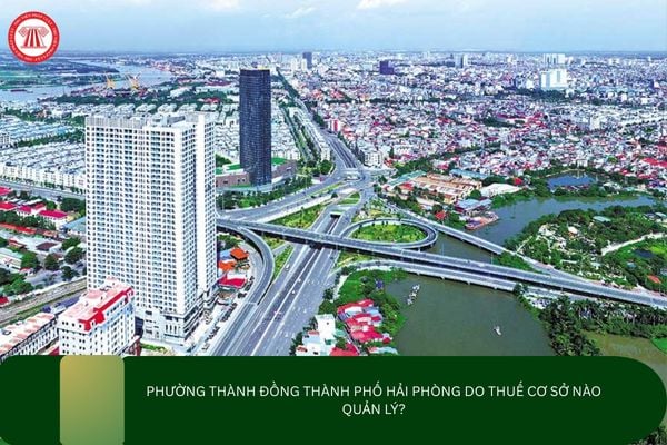 Pháp luật