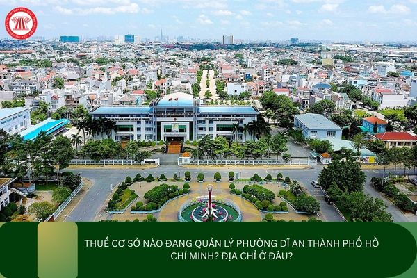 Pháp luật
