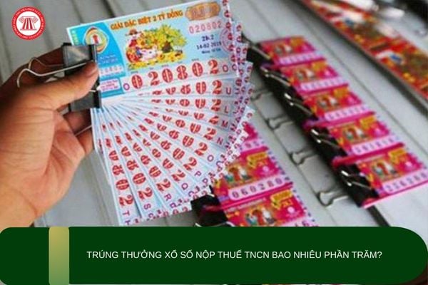 Pháp luật