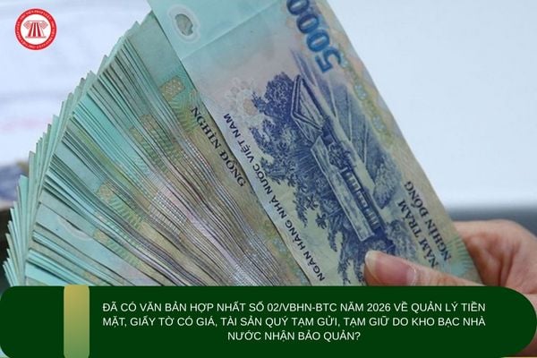 Pháp luật